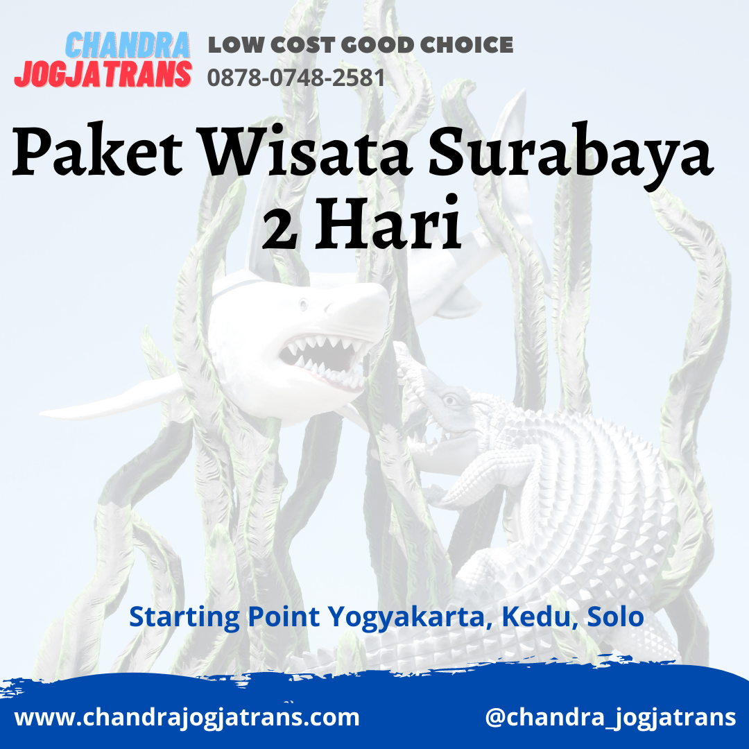 Rental Mobil Jogja Surabaya | Paket Wisata Jogja Surabaya | Sewa Hiace Surabaya Jogja | Sewa Mobil Surabaya Jogja